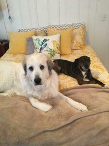 Happy Tail: Miss Rusty 3