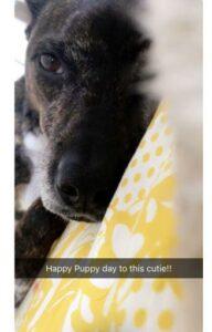 Happy Tail: Miss Rusty 7