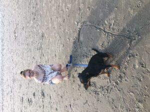 Happy Tail: Rainey 1