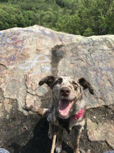 Happy Tail: Freckles Galore 7