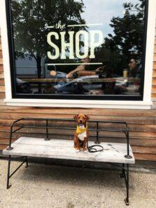 Happy Tail: Forrest S. Gump (formerly Scooter) 1
