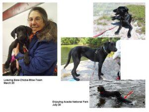 Happy Tail: Norah (formerly Analise) 1