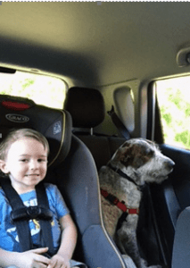 Happy Tail: Eddie 4 Happy Tail: Eddie 3