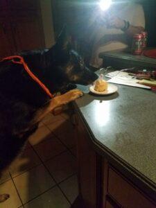 Happy Tails: Nemo 5