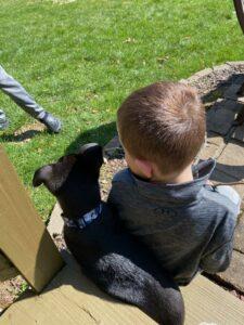 HAPPY TAILS: MAUI (FKA:SOLSTICE WINTER) 3