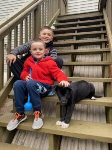 HAPPY TAILS: MAUI (FKA:SOLSTICE WINTER) 1