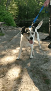 HAPPY TAILS: WYNTON CHENIER (FKA: JAY JACKSON) 6 HAPPY TAILS: WYNTON CHENIER (FKA: JAY JACKSON) 5