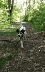HAPPY TAILS: WYNTON CHENIER (FKA: JAY JACKSON) 2 HAPPY TAILS: WYNTON CHENIER (FKA: JAY JACKSON) 1