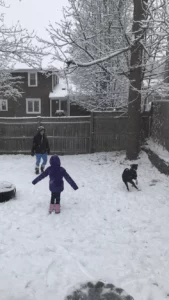 HAPPY TAILS:MOONEY (FKA:DOCK BEACH) 1