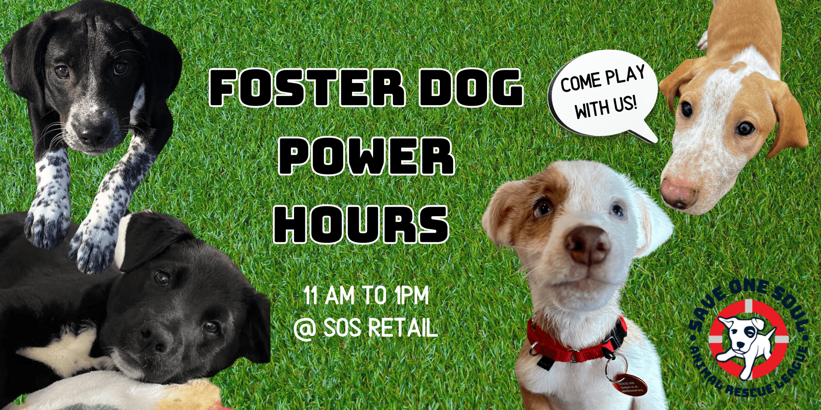 FOSTER DOG POWER HOURS