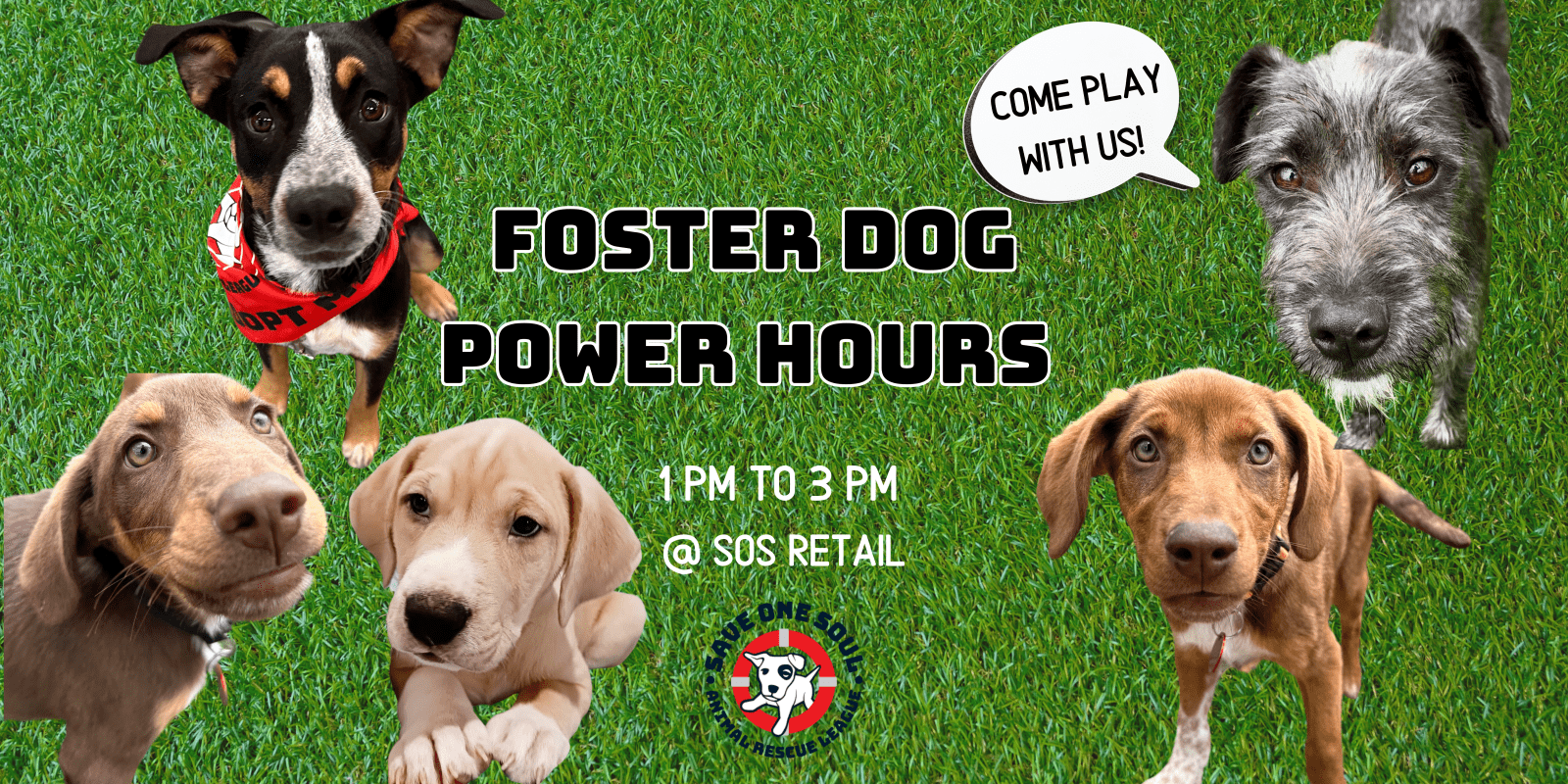 Copy of FOSTER DOG POWER HOURS Instagram Post Square