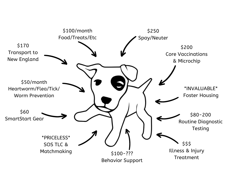 Donation Breakdown A cartoon dog with a black patch over one eye is surrounded by various costs associated with pet care, including food, vaccinations, spaying/neutering, transport, prevention treatments, behavior support, foster housing, diagnostic testing, illness treatment, and gear.