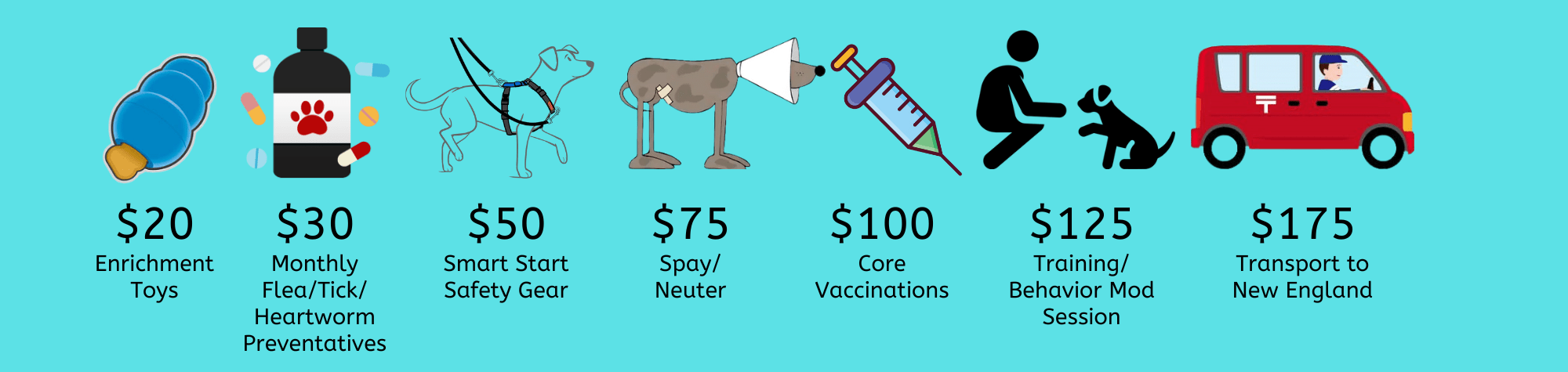 Donation-Levels Donation Levels