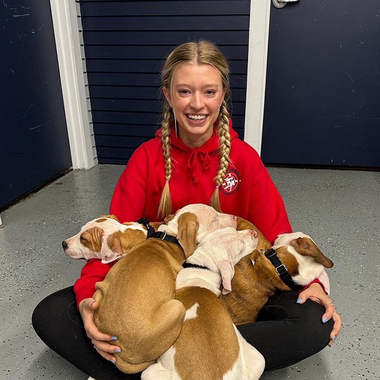 Erin Covered In Puppies