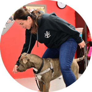 A woman in a dark hoodie with an anchor logo is crouching and holding a brown dog by its leash inside a room with red walls. The dog is wearing a harness, and the woman appears to be guiding the dog with her hand. A clock is visible on the wall behind them.