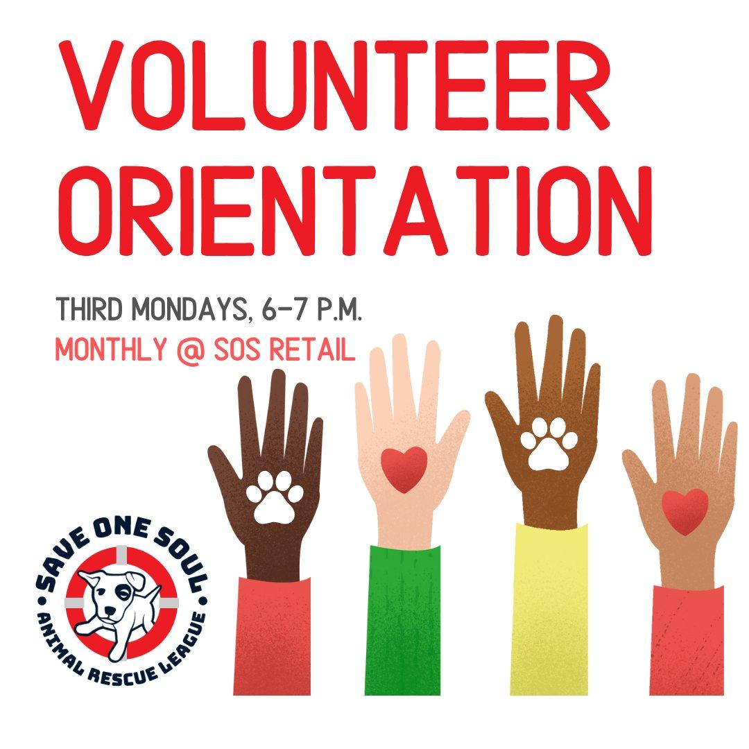 Graphic for "Volunteer Orientation" by Save One Soul Animal Rescue League. Contains text details: "Third Mondays, 6-7 P.M. Monthly @ SOS Retail". Shows diverse hands raised with a combination of heart and paw symbols on each palm.