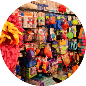 A store display filled with various colorful pet toys and accessories, including rubber chew toys, balls, and frisbees. The shelves are packed with different shaped and sized items, catering to pets of all types. Bright lighting highlights the assortment.