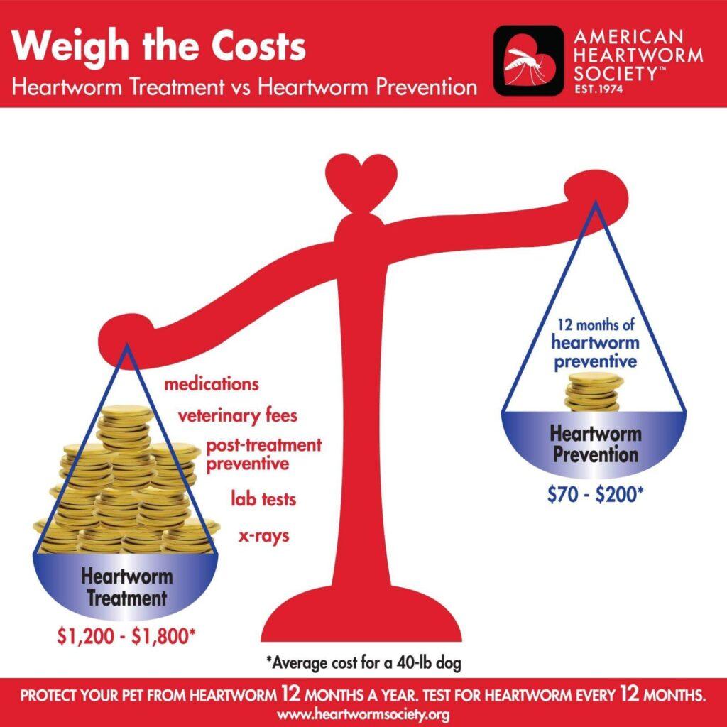 Heartworm Treatment vs. Heartworm Prevention Graphic