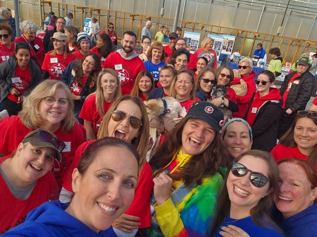 Super Dog Adoption Day - Fall 2024 1