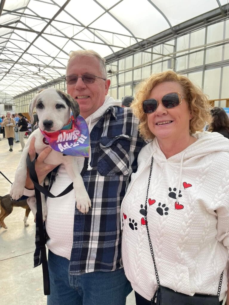 Super Dog Adoption Day - Fall 2024 15