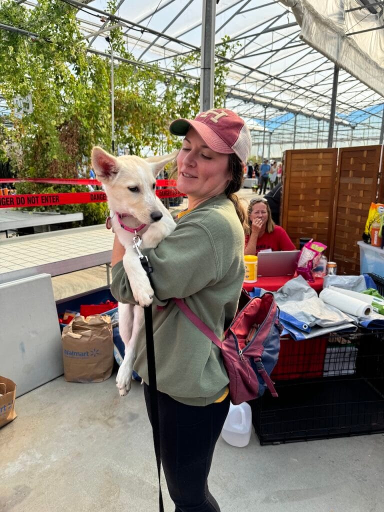 Super Dog Adoption Day - Fall 2024 17