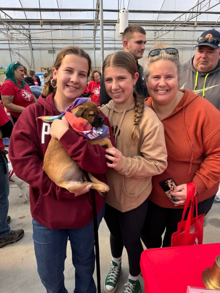 Super Dog Adoption Day - Fall 2024 11