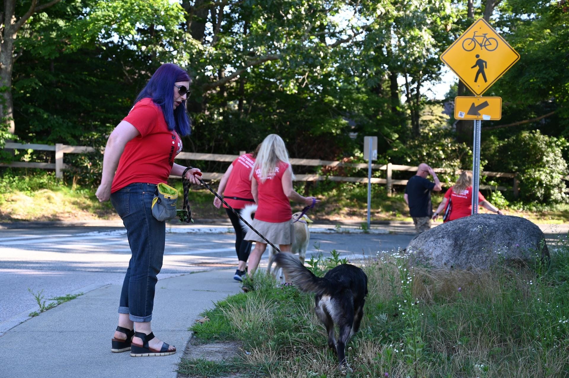 pack-walk-training-sessionJPG