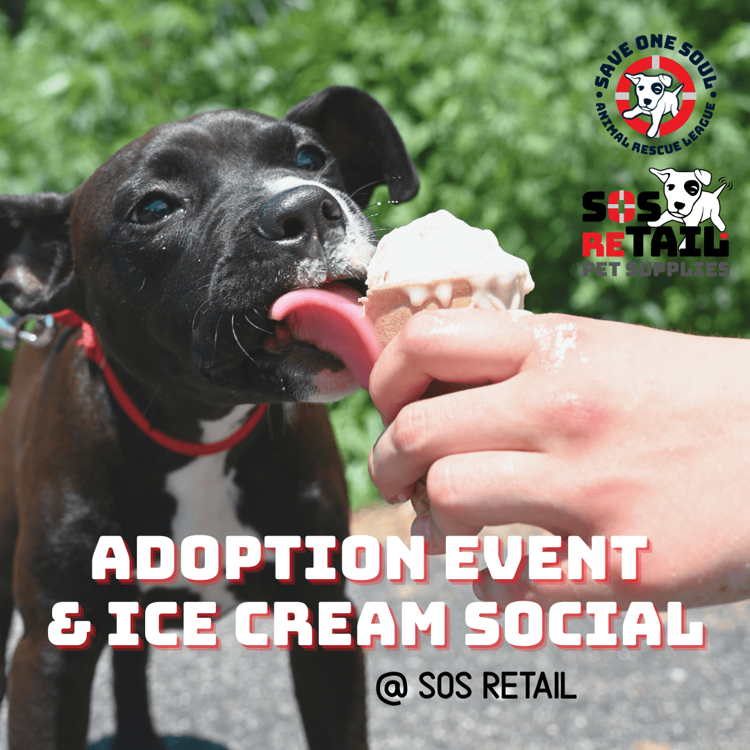 Adoption Event/Ice Cream Social 2 Adoption Event/Ice Cream Social 1