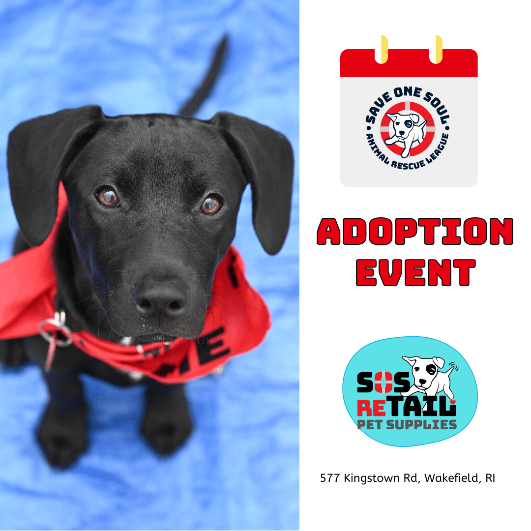 Adoption Event @ SOS reTAIL 2 Adoption Event @ SOS reTAIL 1