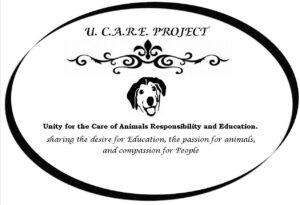 Our Partners 5
