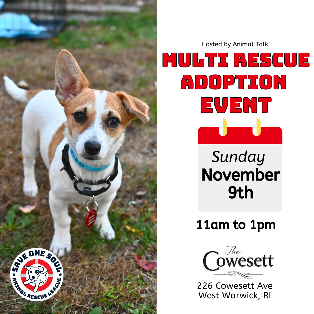 Multi-Rescue Adoption Event 1