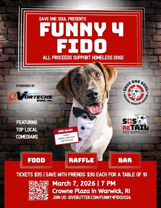 Funny 4 Fido 2 Funny 4 Fido 1