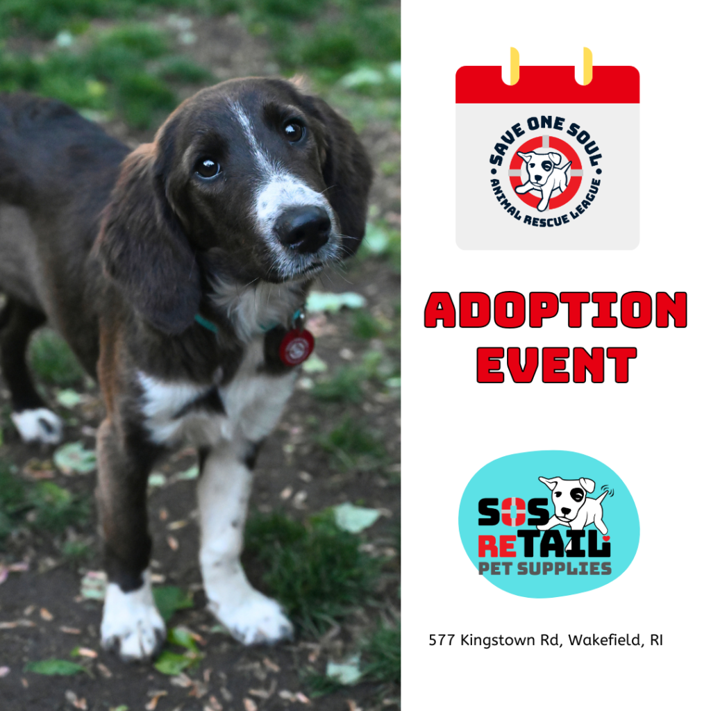 Adoption Event @ SOS reTAIL 3