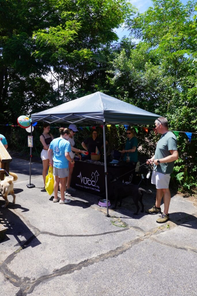 3rd Annual Ultimutt Birthday Carnival 9