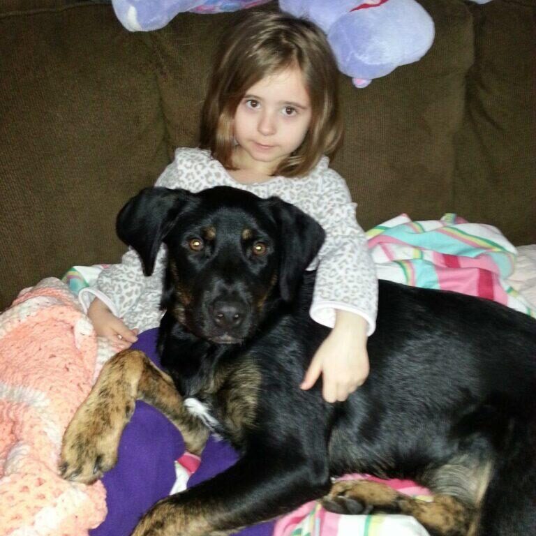 Coda hasn't realized that he is too big to be a lap dog :)