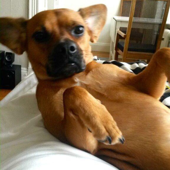 Lounging around