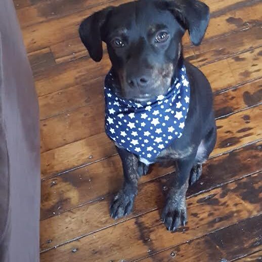 bailey3