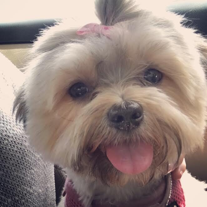 Bella2