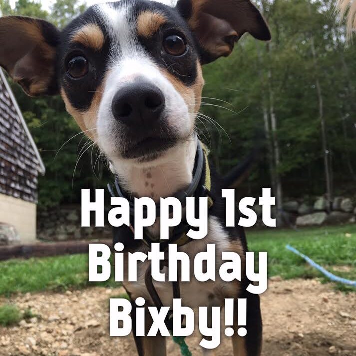 bixby