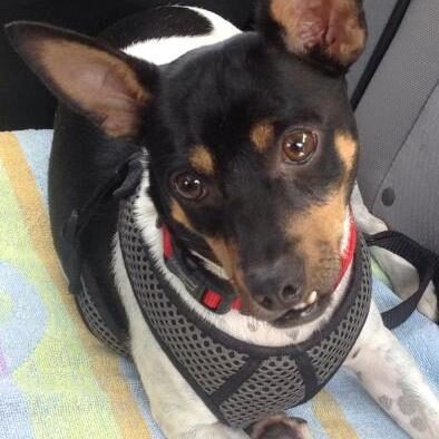 Max