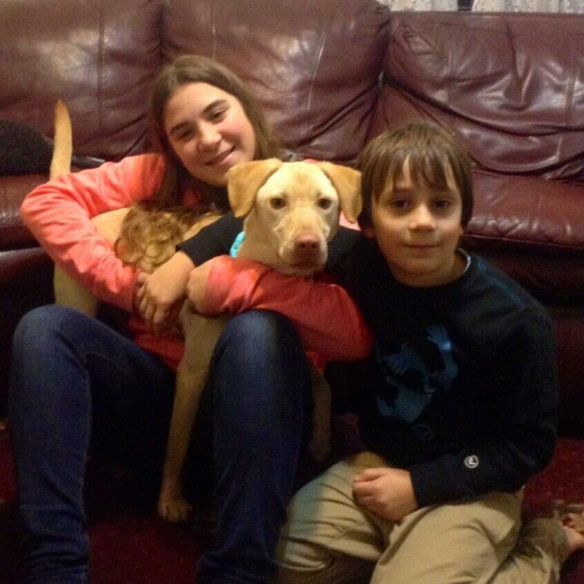 Roo at her forever home with her brother and sister