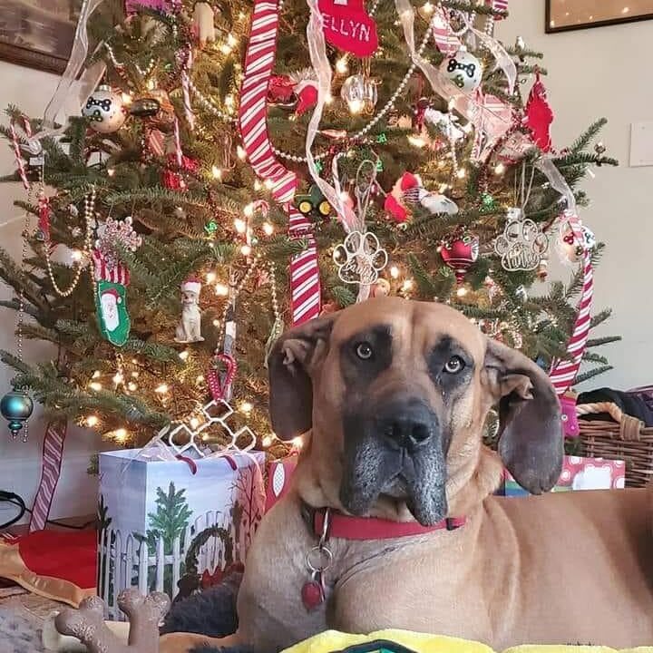 Duke