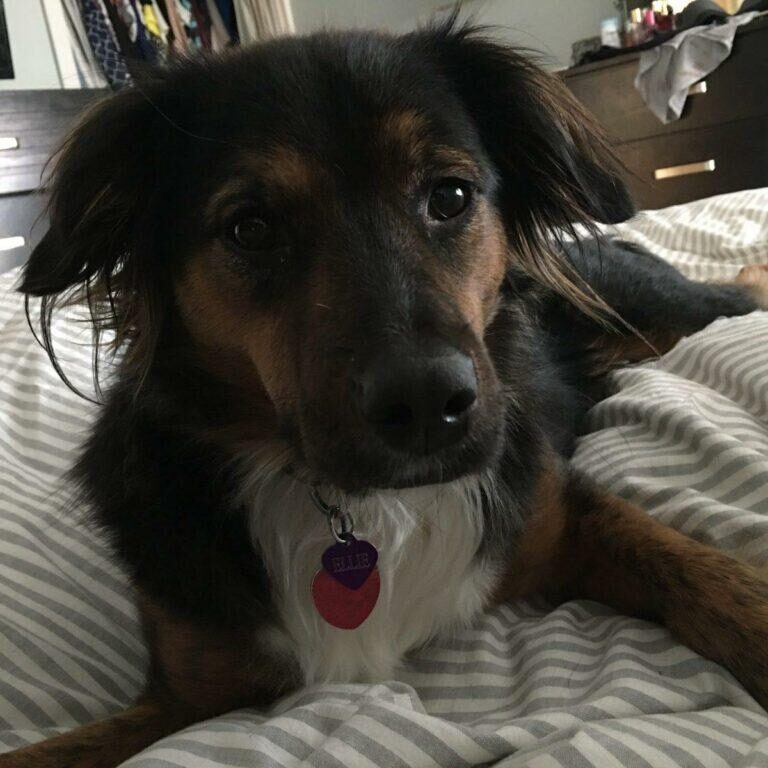 Ellie3
