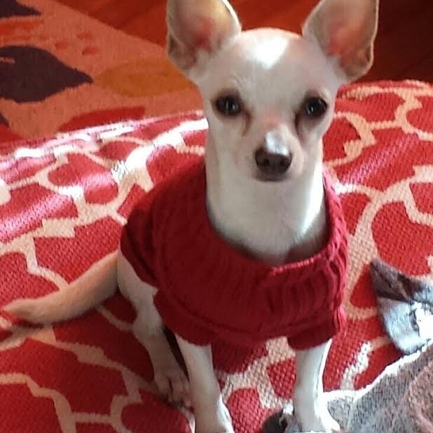 Finley9