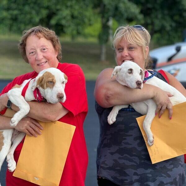 Fosters picking up at transport Two women standing outdoors each holding a puppy in their arms. The woman on the left is wearing a red shirt and holding a brown and white puppy, while the woman on the right is wearing a dark sleeveless top and holding a white puppy. Both are smiling.
