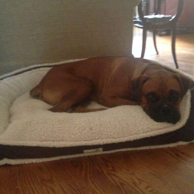 Humphrey2