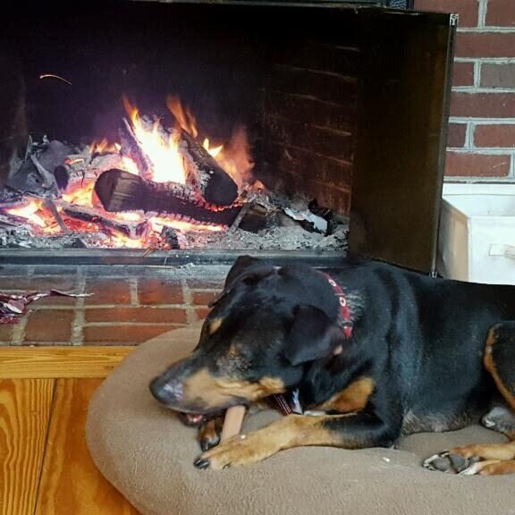 Jack