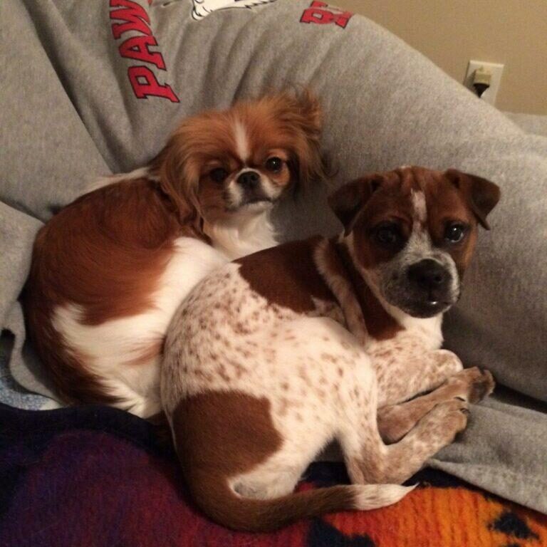 Mia and Zoey2