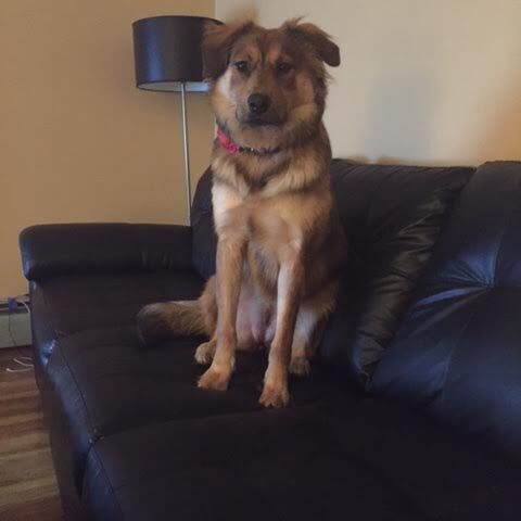 Molly