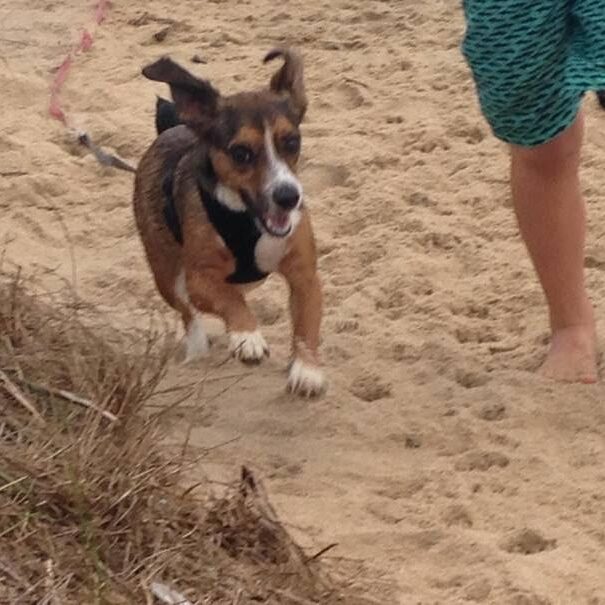 Monty5